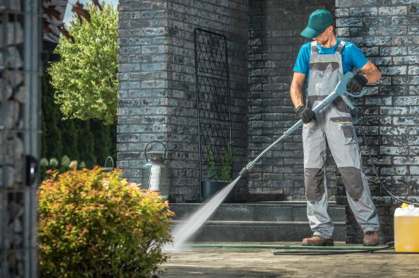 Best Roof Washing  in Mount Hope, WV